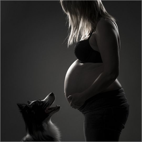 fotoshoot zwanger buik baby gezin Helmond eindhoven venlo Foto ID_186.jpg